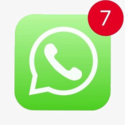 WhatsApp Business API